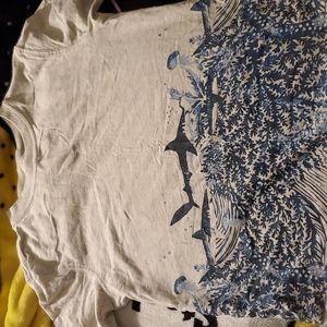 Boys tee shirt size 5-6